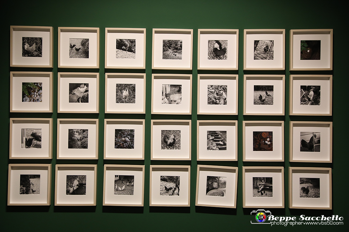VBS_1331 - Castello di Miradolo - Mostra Oltre il giardino l'Abbecedario di paolo Pejrone.jpg